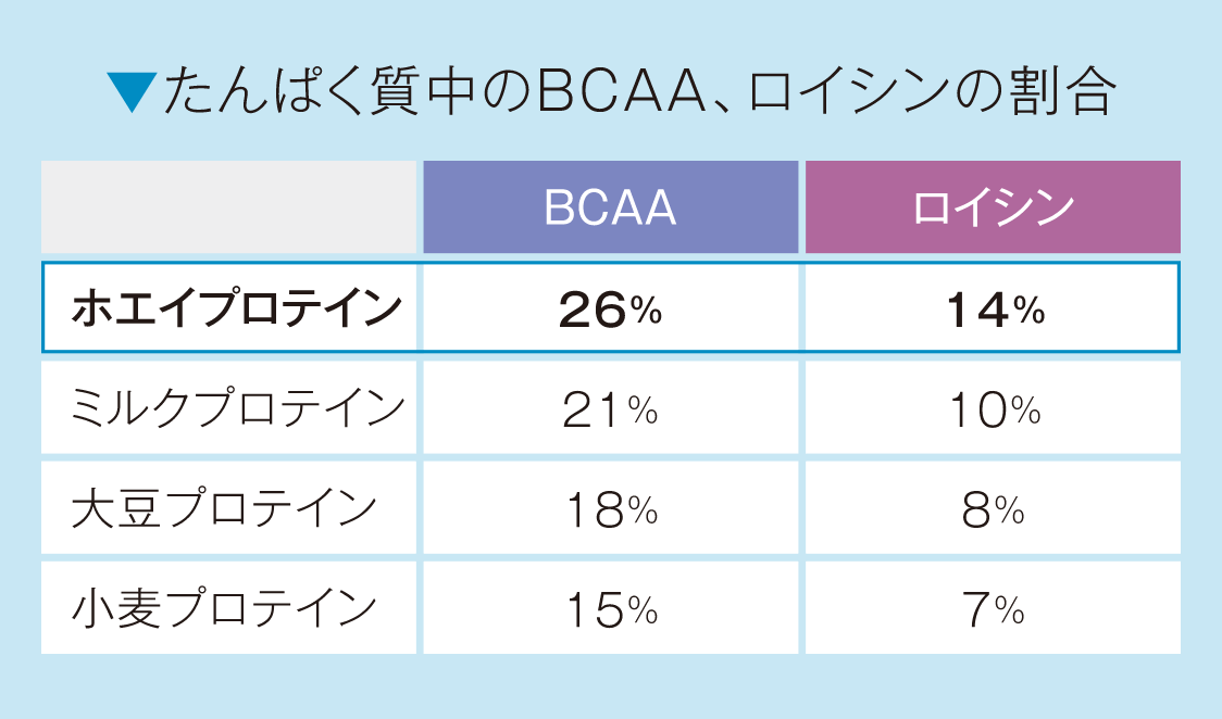 たんぱく質中のBCAA、ロイシンの割合