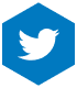 Twitter Logo